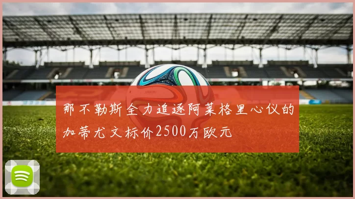 那不勒斯全力追逐阿莱格里心仪的加蒂尤文标价2500万欧元