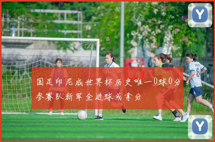 国足印尼成世界杯历史唯一0球0分参赛队新军全进球或拿分